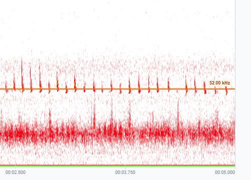 Visualisation d'un signal ultrasonore dans Spectroware